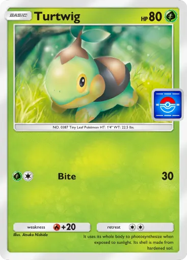 Turtwig card image