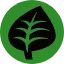 Type Grass
